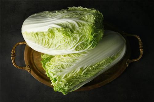 白菜 白菜